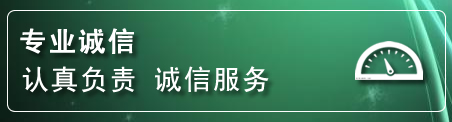 肇州建网站公司